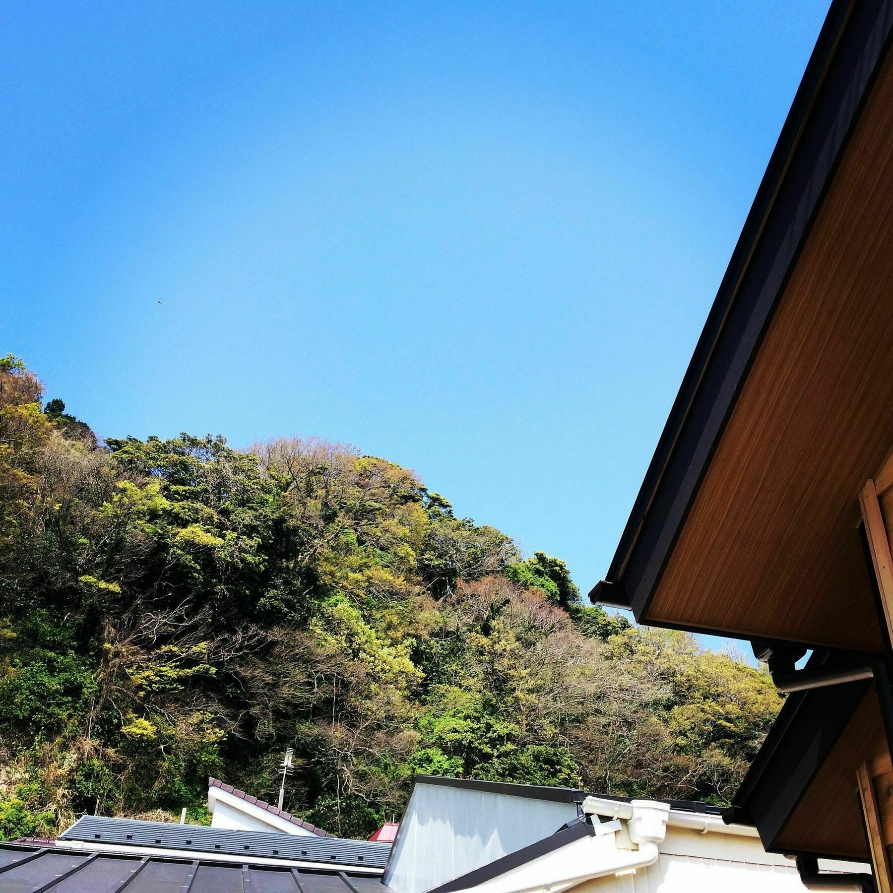 Guest House Kamakura Zen-Ji Экстерьер фото