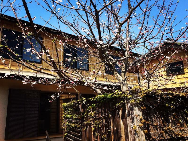 Guest House Kamakura Zen-Ji Экстерьер фото
